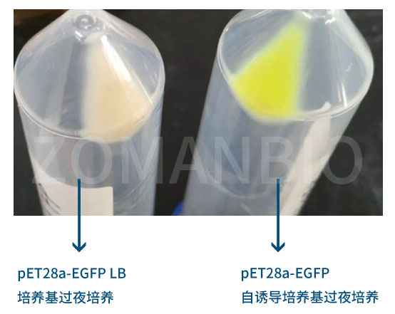 ZC601內文圖.jpg